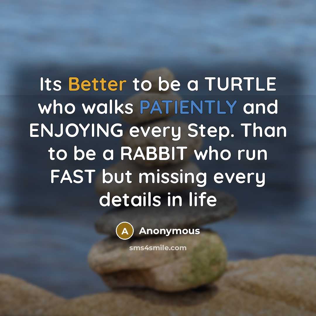 “Its Better to be a TURTLE who walks PATIENTLY and ENJOYING every Step. Than to be a RABBIT who run FAST but missing every details in life” quote by Anonymous