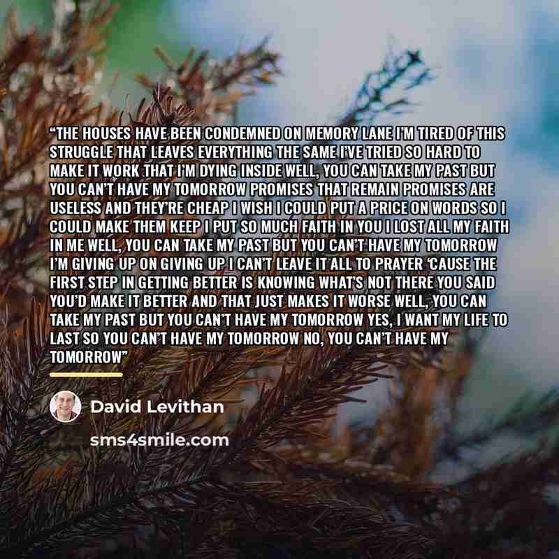 “The houses have been condemned on Memory Lane I’m tired of this struggle that leaves everything the same I’ve tried so hard to make it work that I’m dying inside Well, you can take my past But you can’t have my tomorrow Promises that remain promises are useless and they’re cheap I wish I could put…” quote by David Levithan