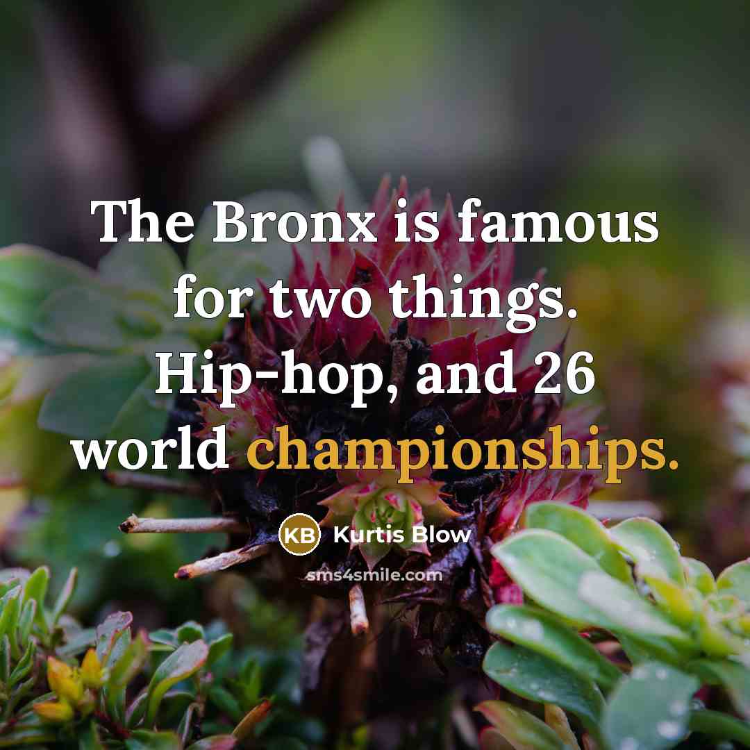 “The Bronx is famous for two things. Hip-hop, and 26 world championships.” quote by Kurtis Blow