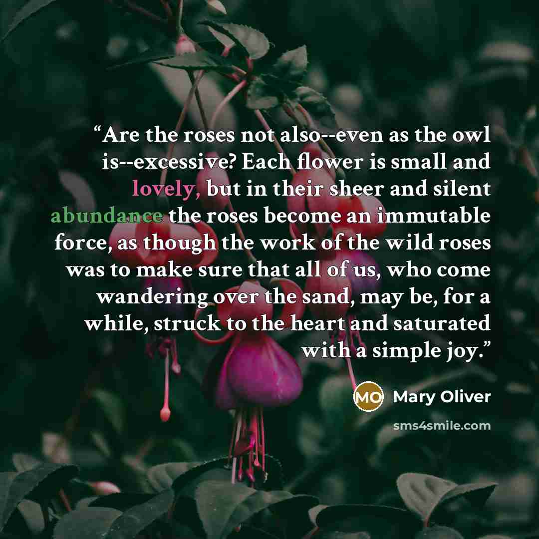 “Are the roses not also--even as the owl is--excessive? Each flower is small and lovely, but in their sheer and silent abundance the roses become an immutable force, as though the work of the wild roses was to make sure that all of us, who come wandering over the sand, may be, for a while, struck…” quote by Mary Oliver