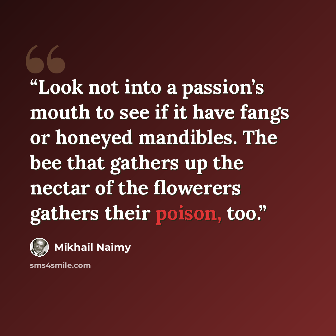 “Look not into a passion’s mouth to see if it have fangs or honeyed mandibles. The bee that gathers up the nectar of the flowerers gathers their poison, too.” quote by Mikhail Naimy