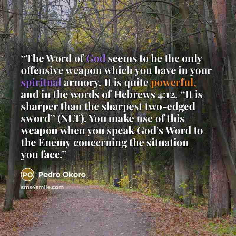 “The Word of God seems to be the only offensive weapon which you have in your spiritual armory. It is quite powerful, and in the words of Hebrews 4:12, “It is sharper than the sharpest two-edged sword” (NLT). You make use of this weapon when you speak God’s Word to the Enemy concerning the…” quote by Pedro Okoro