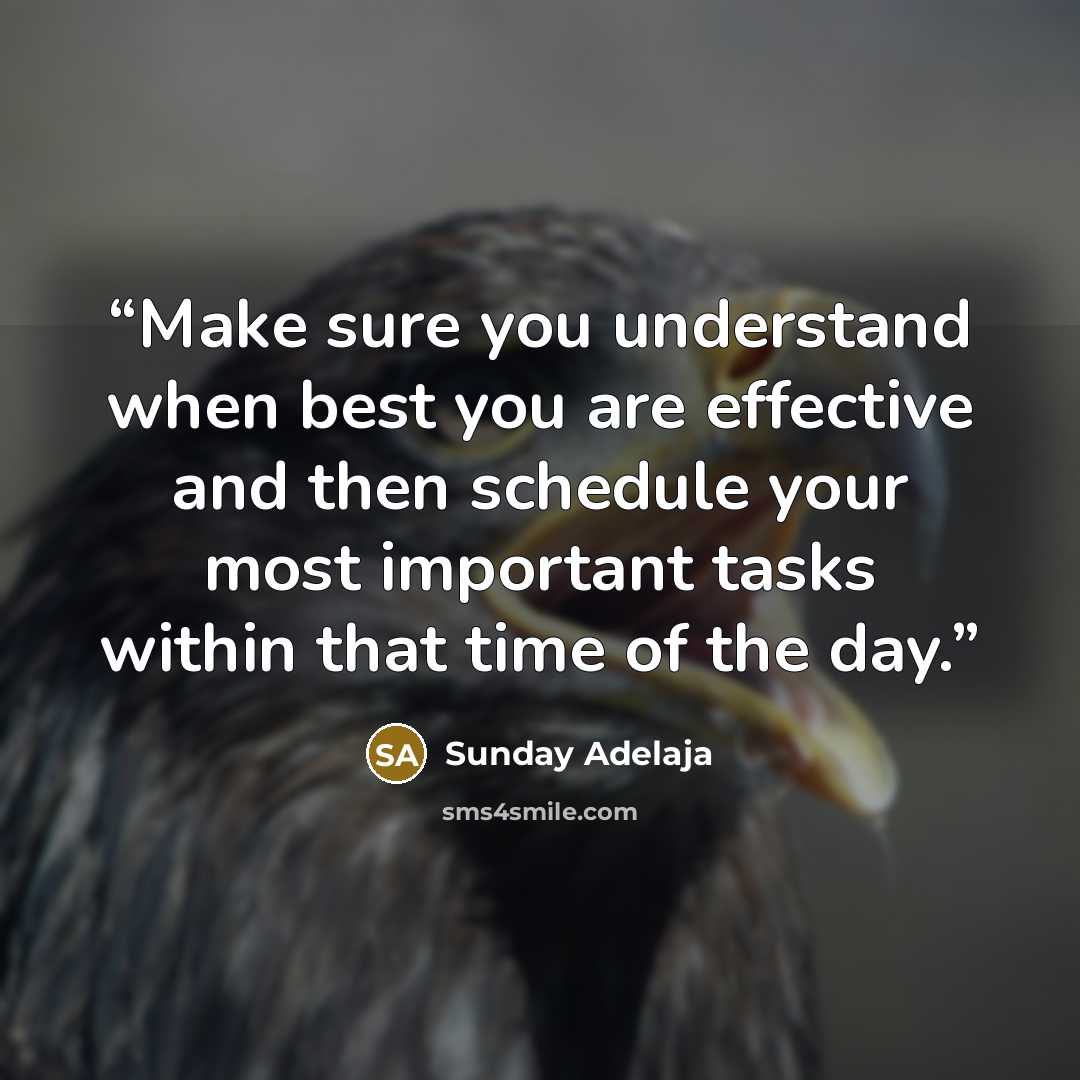 “Make sure you understand when best you are effective and then schedule your most important tasks within that time of the day.” quote by Sunday Adelaja