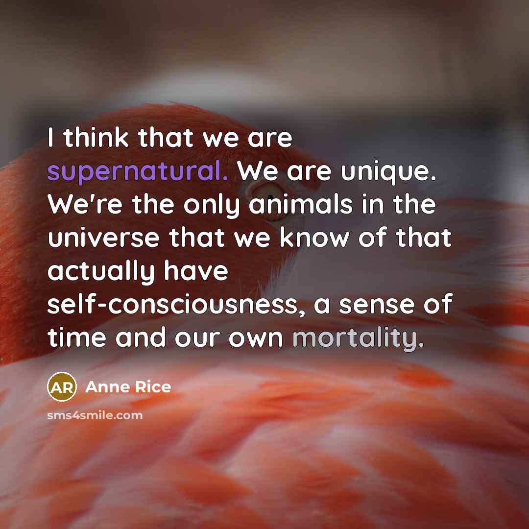 “I think that we are supernatural. We are unique. We're the only animals in the universe that we know of that actually have self-consciousness, a sense of time and our own mortality.” quote by Anne Rice