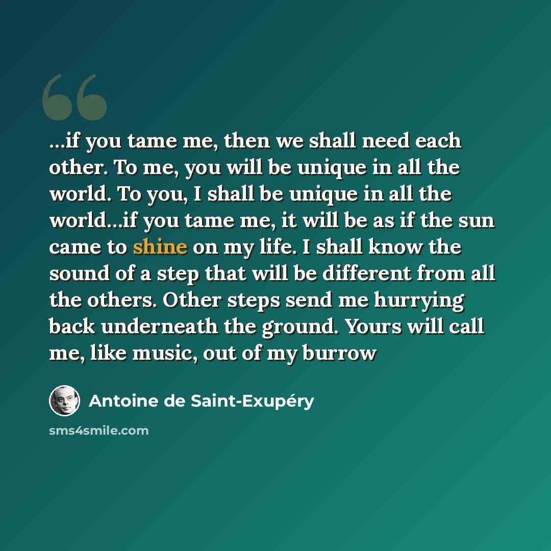 “…if you tame me, then we shall need each other. To me, you will be unique in all the world. To you, I shall be unique in all the world…if you tame me, it will be as if the sun came to shine on my life. I shall know the sound of a step that will be different from all the others. Other steps send me…” quote by Antoine de Saint-Exupery