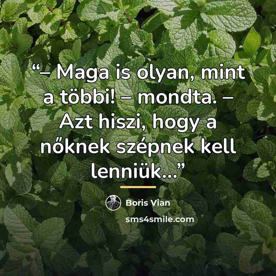 “– Maga is olyan, mint a többi! – mondta. – Azt hiszi, hogy a nőknek szépnek kell lenniük…” quote by Boris Vian