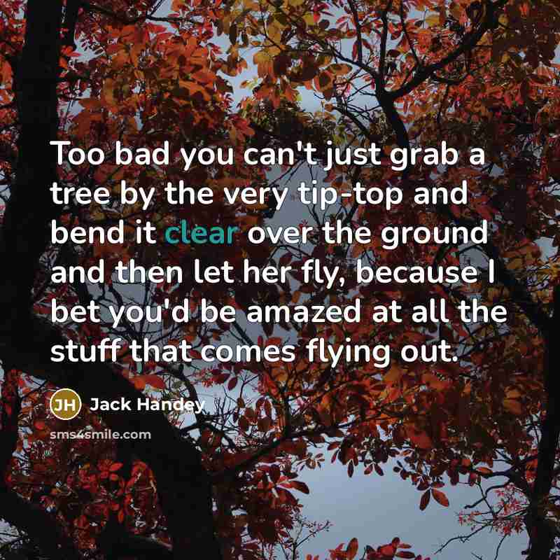 “Too bad you can't just grab a tree by the very tip-top and bend it clear over the ground and then let her fly, because I bet you'd be amazed at all the stuff that comes flying out.” quote by Jack Handey