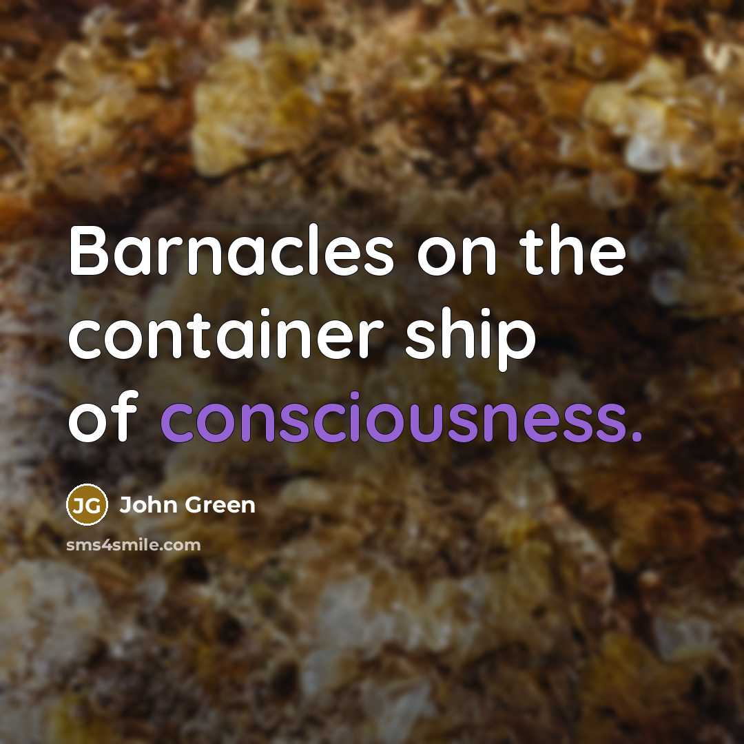 “Barnacles on the container ship of consciousness.” quote by John Green