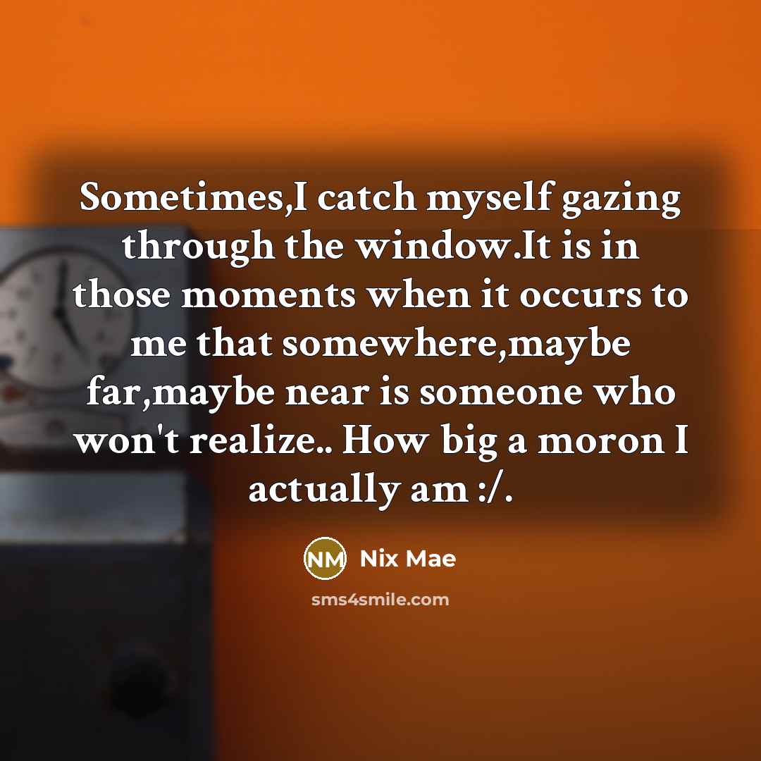 “Sometimes,I catch myself gazing through the window.It is in those moments when it occurs to me that somewhere,maybe far,maybe near is someone who won't realize.. How big a moron I actually am :/.” quote by Nix Mae