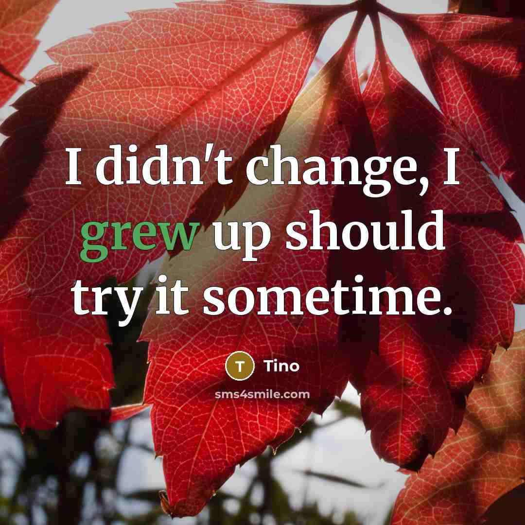 “I didn't change, I grew up should try it sometime.” quote by Tino