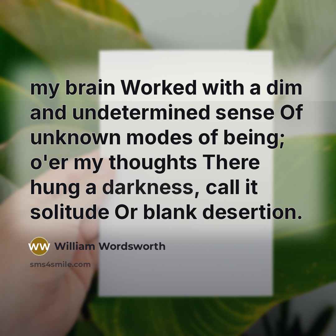 “my brain Worked with a dim and undetermined sense Of unknown modes of being; o'er my thoughts There hung a darkness, call it solitude Or blank desertion.” quote by William Wordsworth