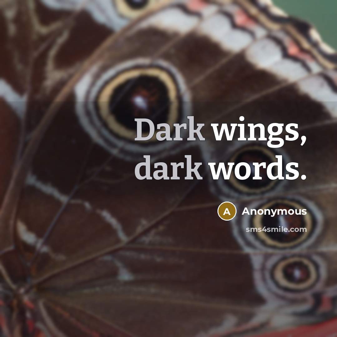 “Dark wings, dark words.” quote by Anonymous