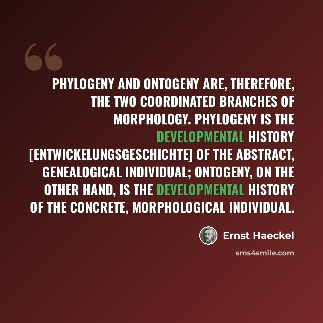 “Phylogeny and ontogeny are, therefore, the two coordinated branches of morphology. Phylogeny is the developmental history [Entwickelungsgeschichte] of the abstract, genealogical individual; ontogeny, on the other hand, is the developmental history of the concrete, morphological individual.” quote by Ernst Haeckel