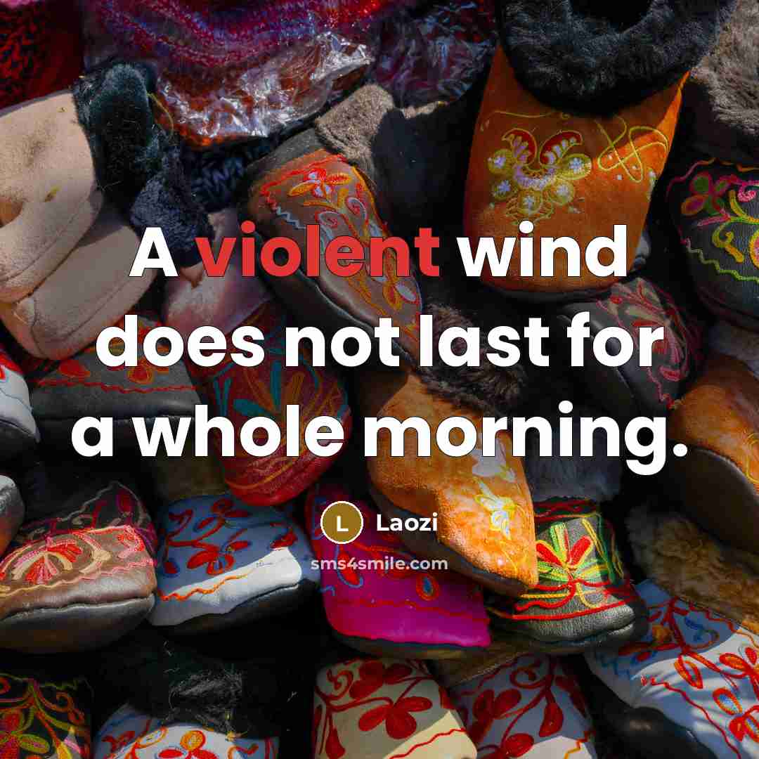 “A violent wind does not last for a whole morning.” quote by Laozi