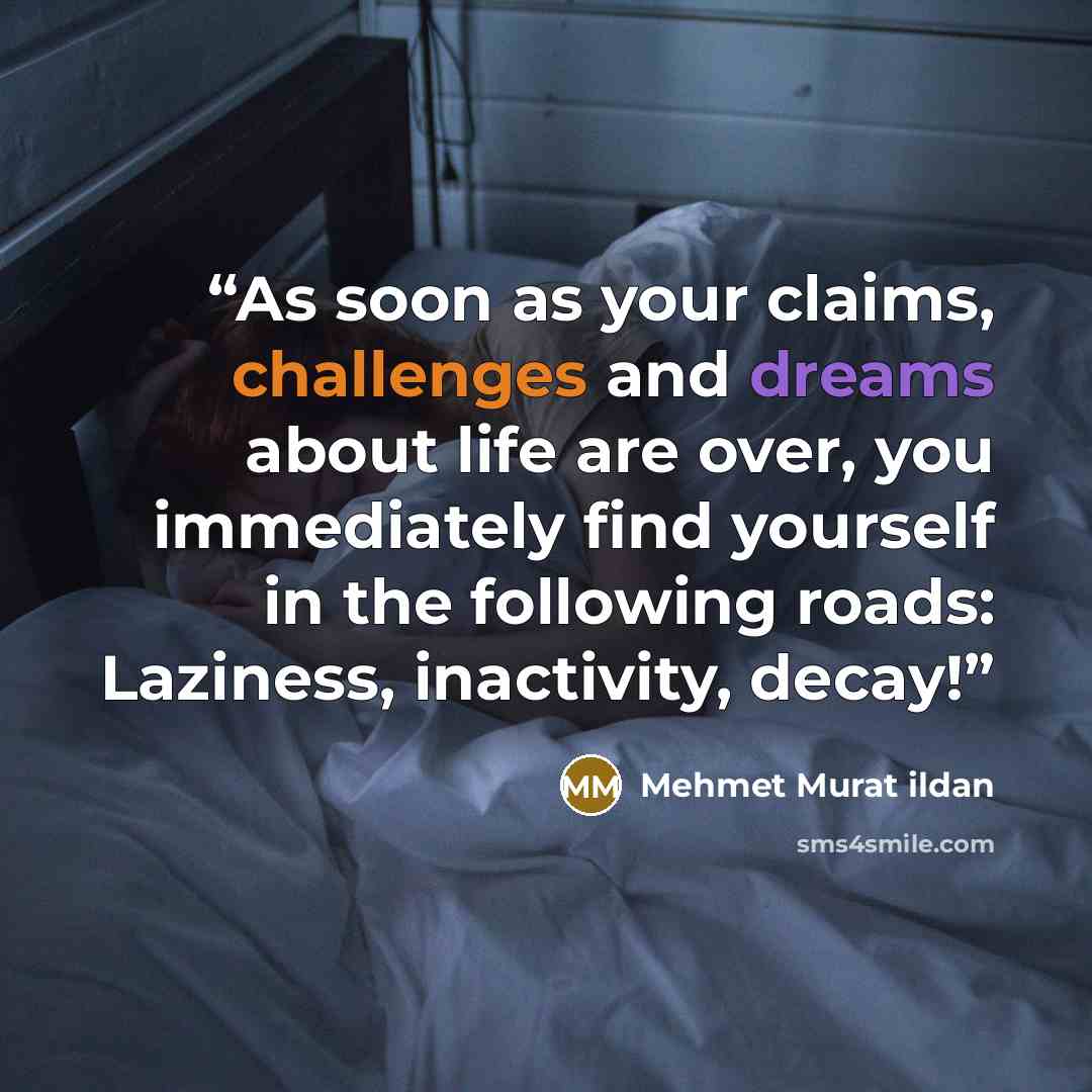 “As soon as your claims, challenges and dreams about life are over, you immediately find yourself in the following roads: Laziness, inactivity, decay!” quote by Mehmet Murat ildan