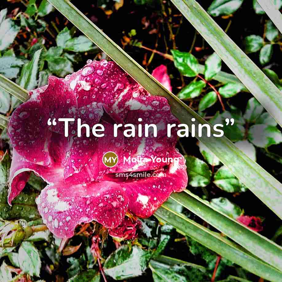 “The rain rains” quote by Moira Young