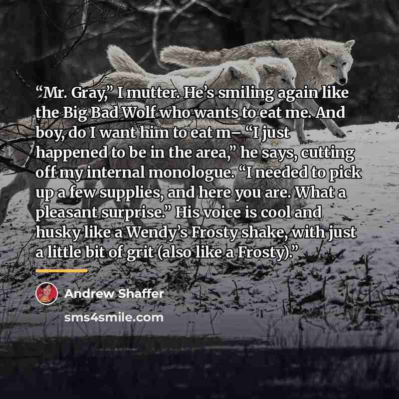 “Mr. Gray,” I mutter. He’s smiling again like the Big Bad Wolf who wants to eat me. And boy, do I want him to eat m– “I just happened to be in the area,” he says, cutting off my internal monologue. “I needed to pick up a few supplies, and here you are. What a pleasant surprise.” His voice is cool…” quote by Andrew Shaffer
