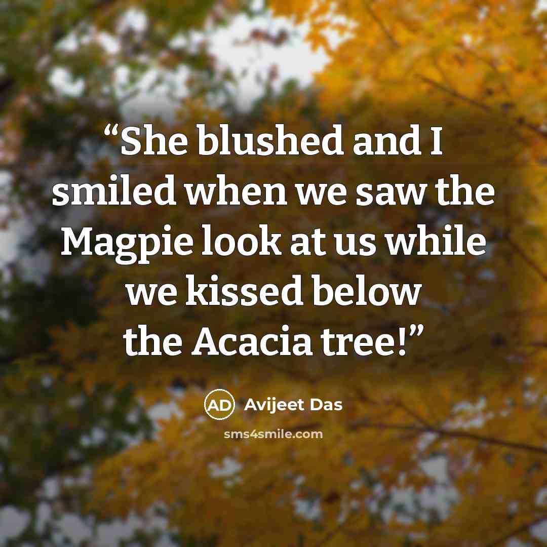 “She blushed and I smiled when we saw the Magpie look at us while we kissed below the Acacia tree!” quote by Avijeet Das