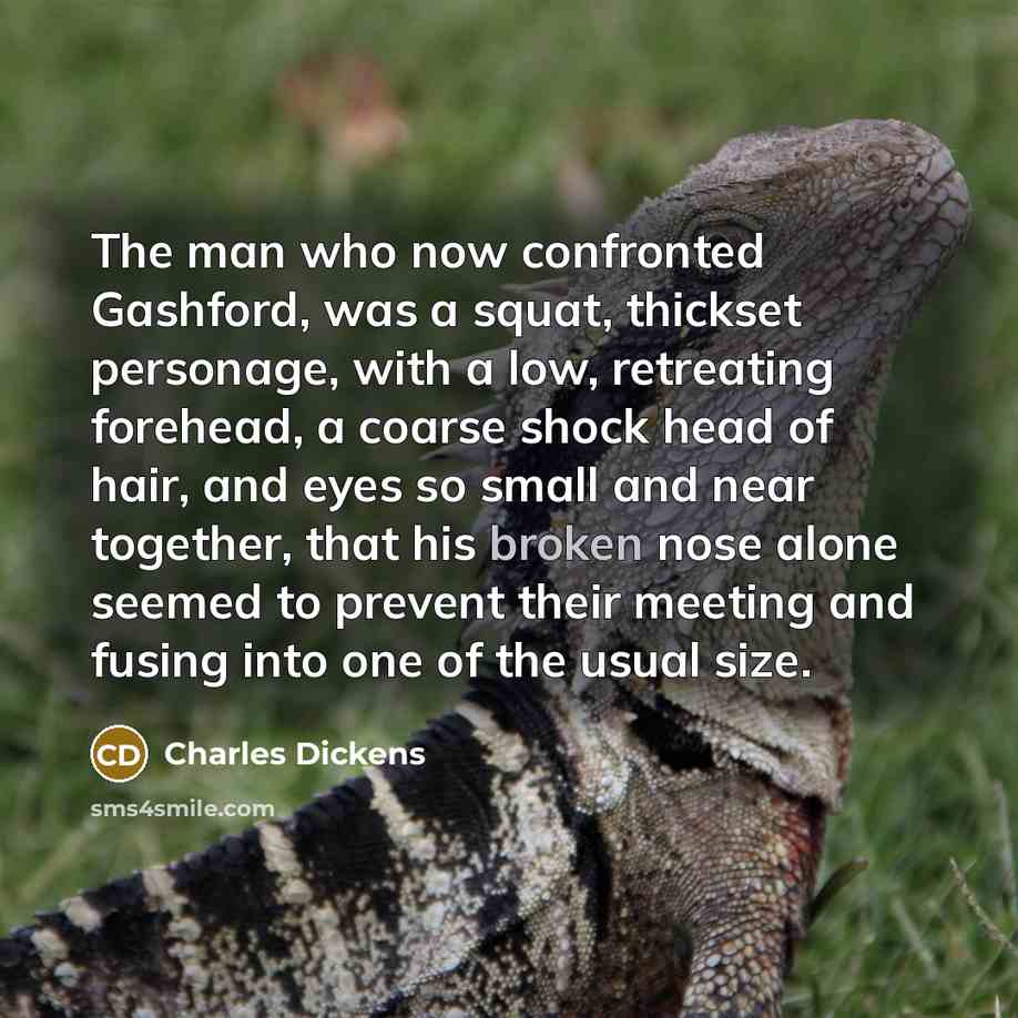 “The man who now confronted Gashford, was a squat, thickset personage, with a low, retreating forehead, a coarse shock head of hair, and eyes so small and near together, that his broken nose alone seemed to prevent their meeting and fusing into one of the usual size.” quote by Charles Dickens