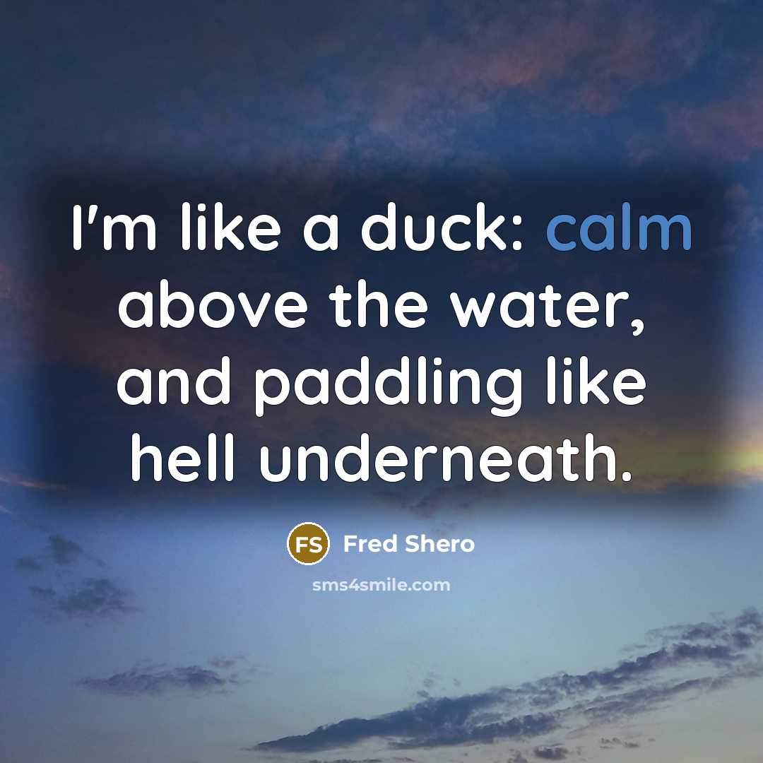“I'm like a duck: calm above the water, and paddling like hell underneath.” quote by Fred Shero