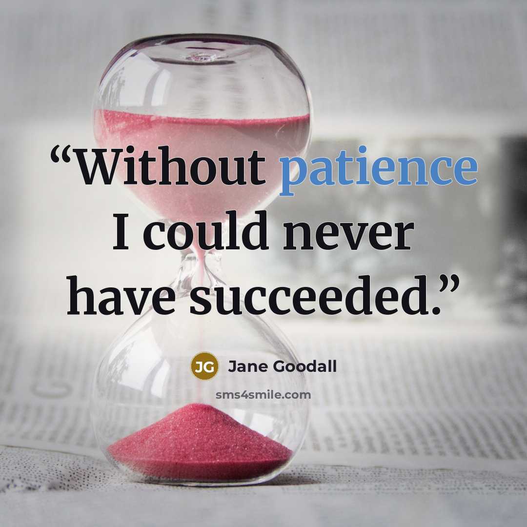 “Without patience I could never have succeeded.” quote by Jane Goodall