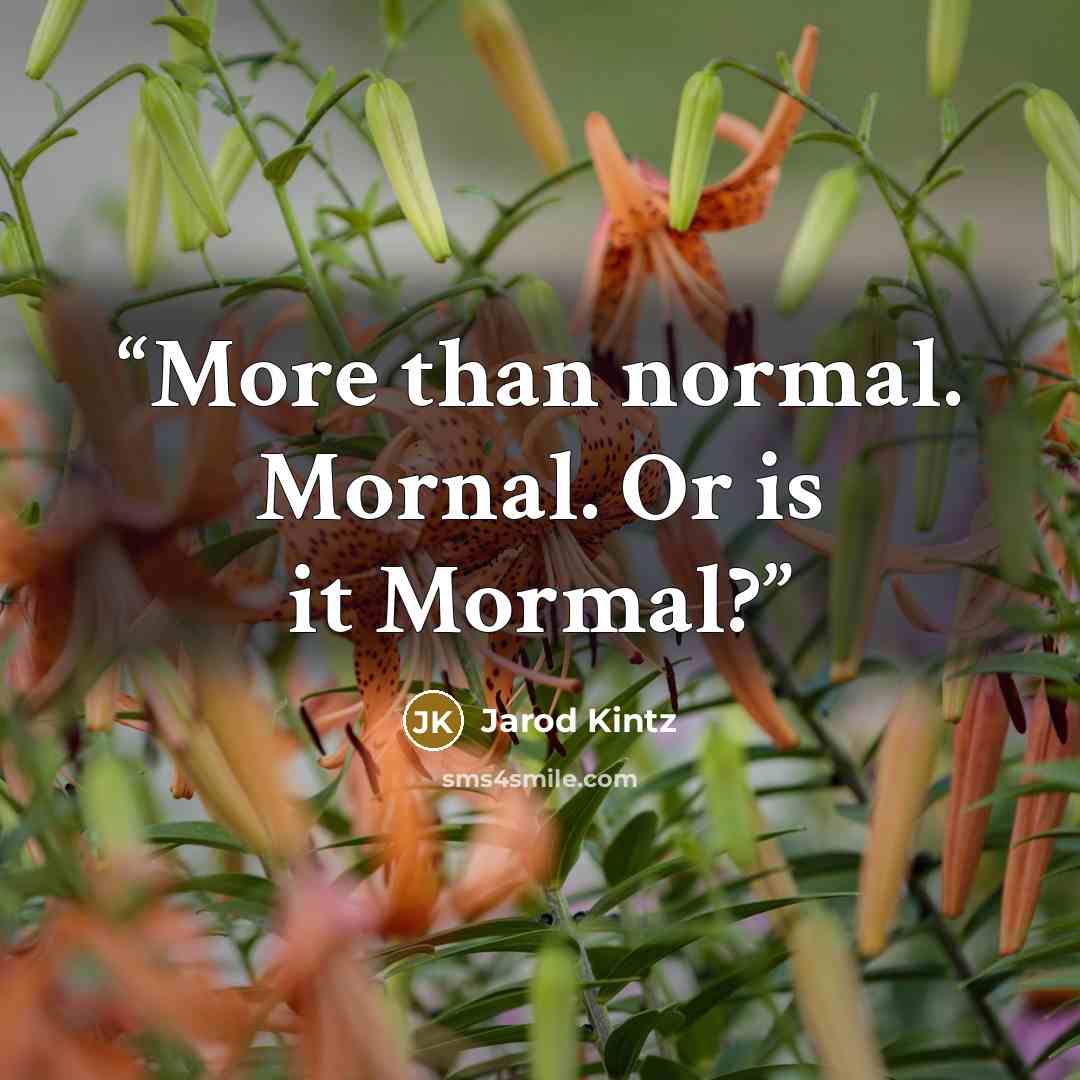 “More than normal. Mornal. Or is it Mormal?” quote by Jarod Kintz