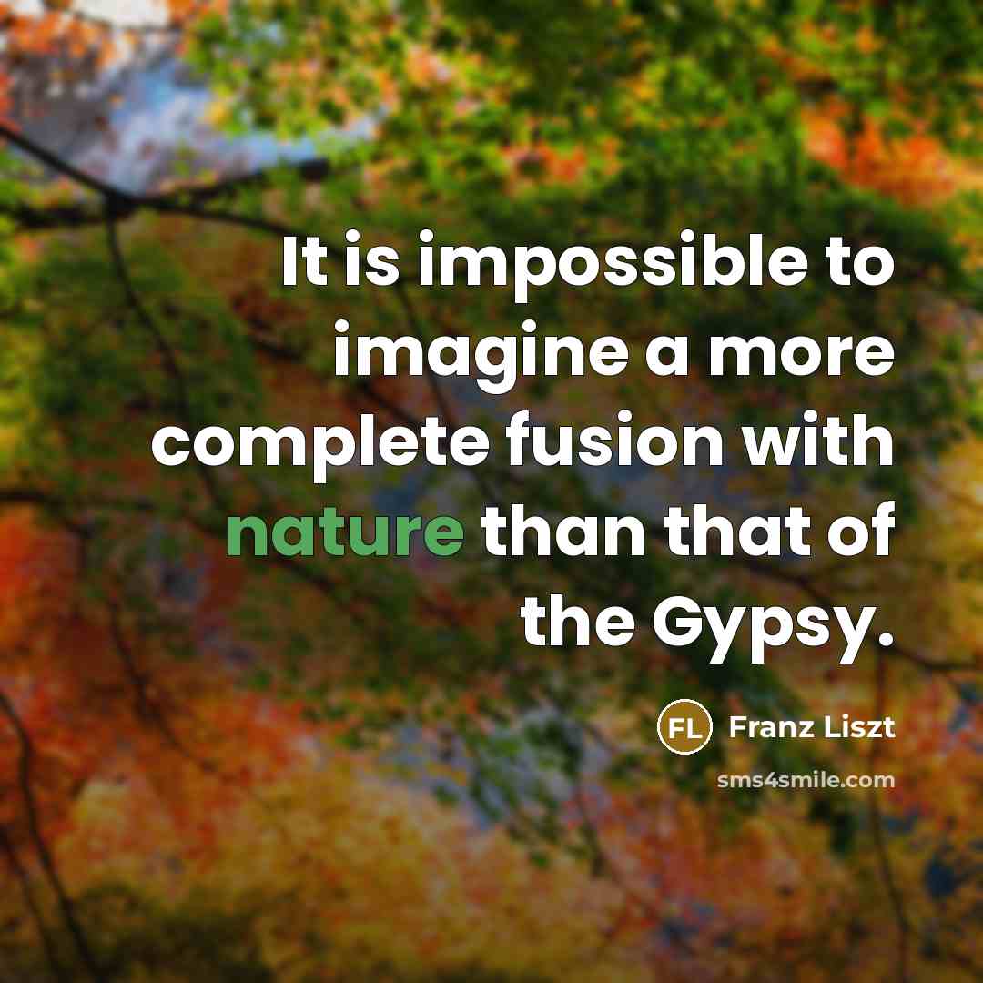 “It is impossible to imagine a more complete fusion with nature than that of the Gypsy.” quote by Franz Liszt