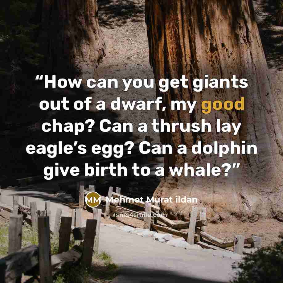 “How can you get giants out of a dwarf, my good chap? Can a thrush lay eagle’s egg? Can a dolphin give birth to a whale?” quote by Mehmet Murat ildan