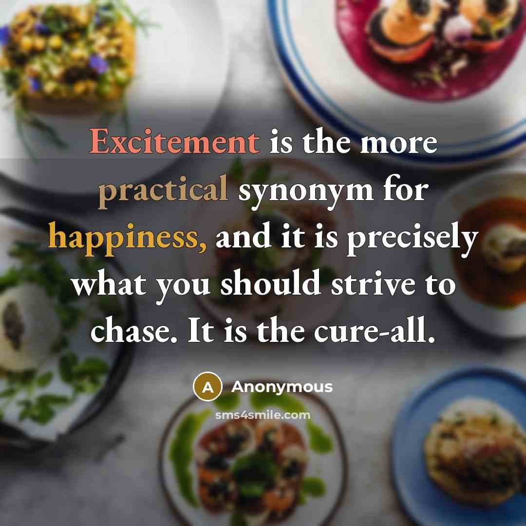 “Excitement is the more practical synonym for happiness, and it is precisely what you should strive to chase. It is the cure-all.” quote by Anonymous