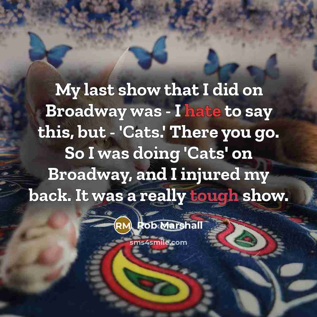 “My last show that I did on Broadway was - I hate to say this, but - 'Cats.' There you go. So I was doing 'Cats' on Broadway, and I injured my back. It was a really tough show.” quote by Rob Marshall