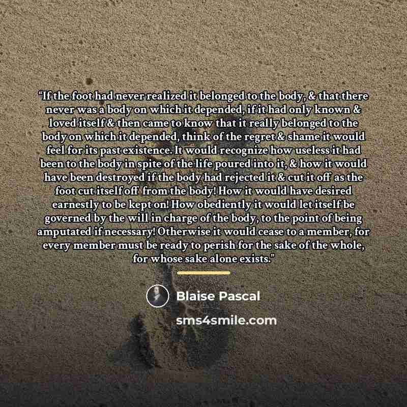 “If the foot had never realized it belonged to the body, & that there never was a body on which it depended, if it had only known & loved itself & then came to know that it really belonged to the body on which it depended, think of the regret & shame it would feel for its past existence. It would…” quote by Blaise Pascal
