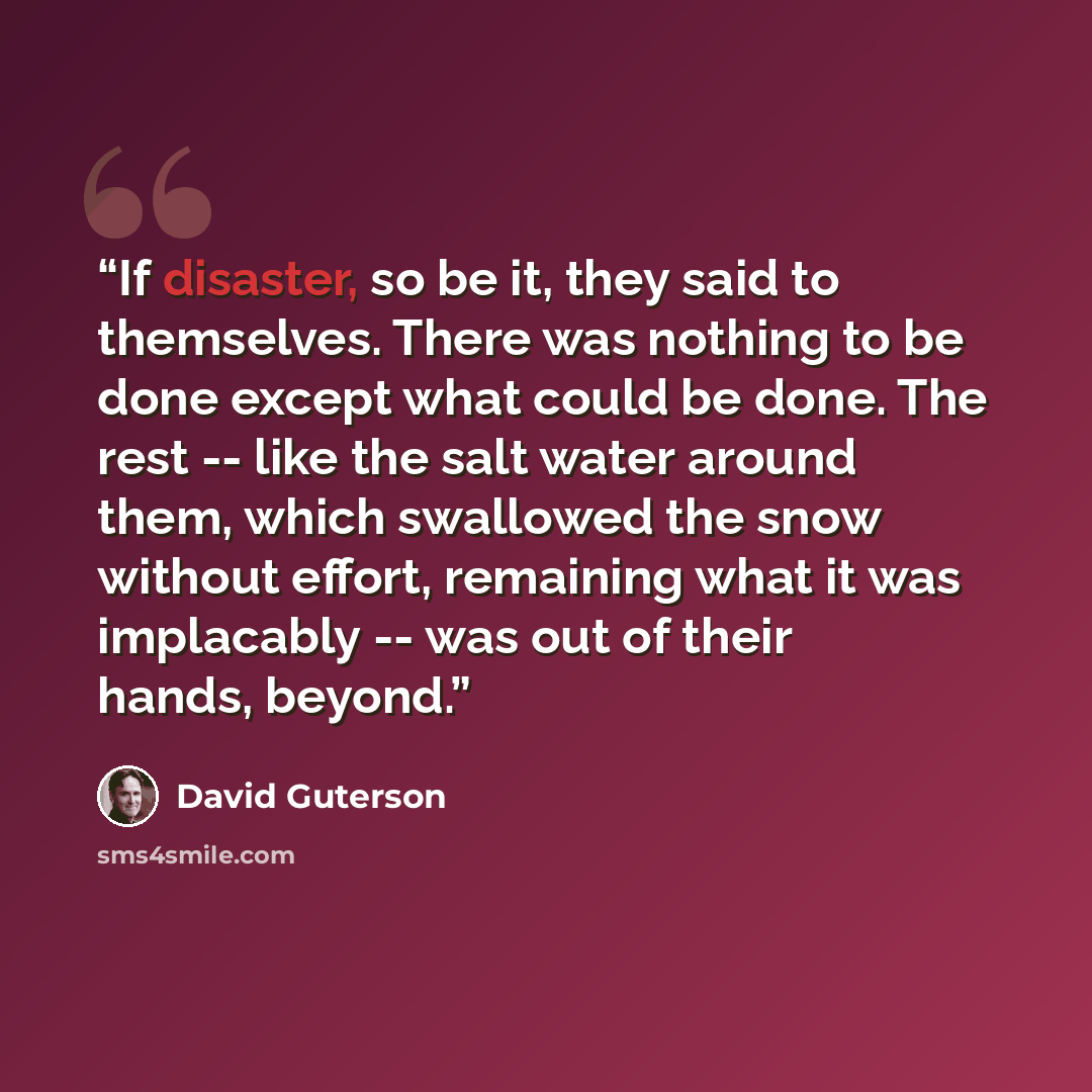 “If disaster, so be it, they said to themselves. There was nothing to be done except what could be done. The rest -- like the salt water around them, which swallowed the snow without effort, remaining what it was implacably -- was out of their hands, beyond.” quote by David Guterson