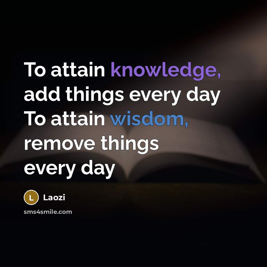“To attain knowledge, add things every day To attain wisdom, remove things every day” quote by Laozi
