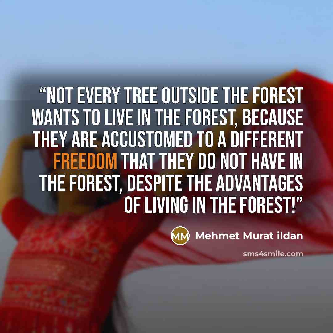 “Not every tree outside the forest wants to live in the forest, because they are accustomed to a different freedom that they do not have in the forest, despite the advantages of living in the forest!” quote by Mehmet Murat ildan