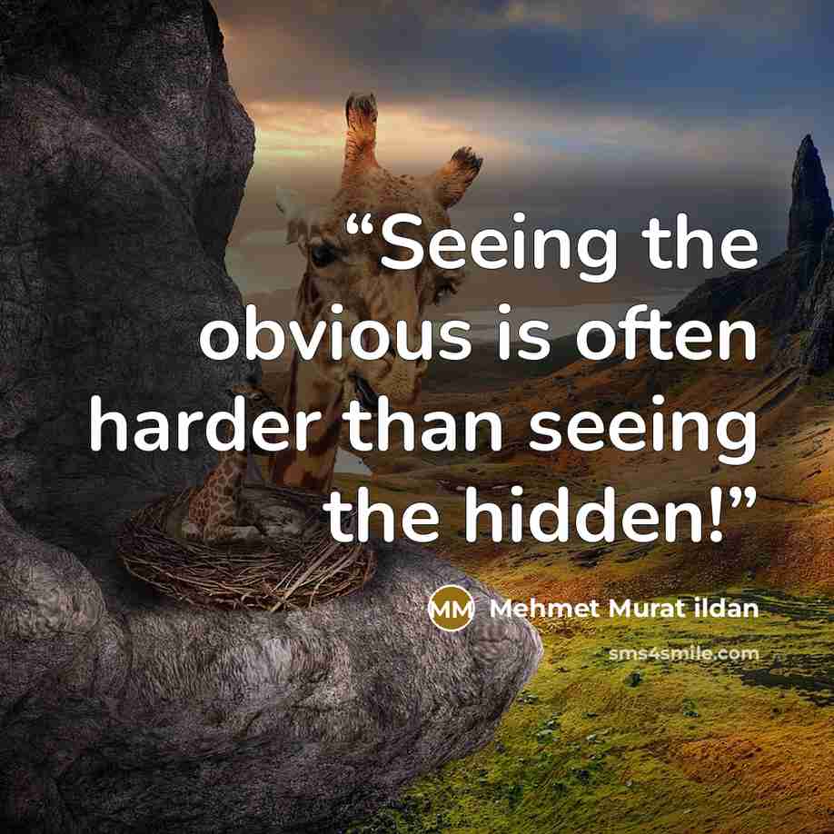 “Seeing the obvious is often harder than seeing the hidden!” quote by Mehmet Murat ildan
