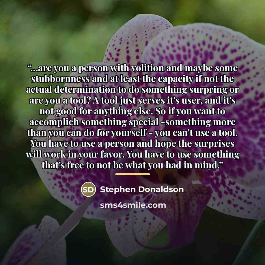 “...are you a person with volition and maybe some stubbornness and at least the capacity if not the actual determination to do something surpring or are you a tool? A tool just serves it's user, and it's not good for anything else. So if you want to accomplich something special -something more than…” quote by Stephen Donaldson