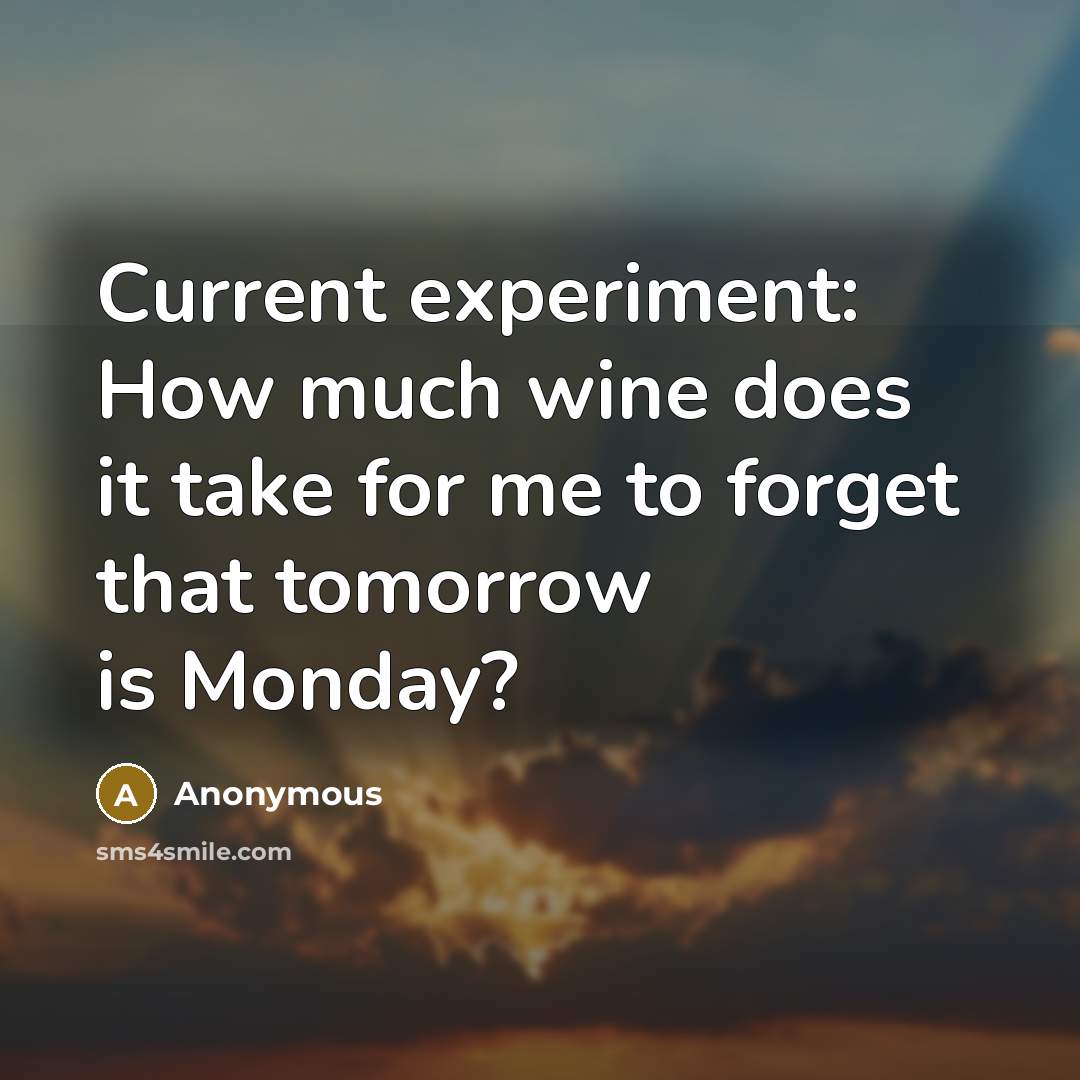 “Current experiment: How much wine does it take for me to forget that tomorrow is Monday?” quote by Anonymous