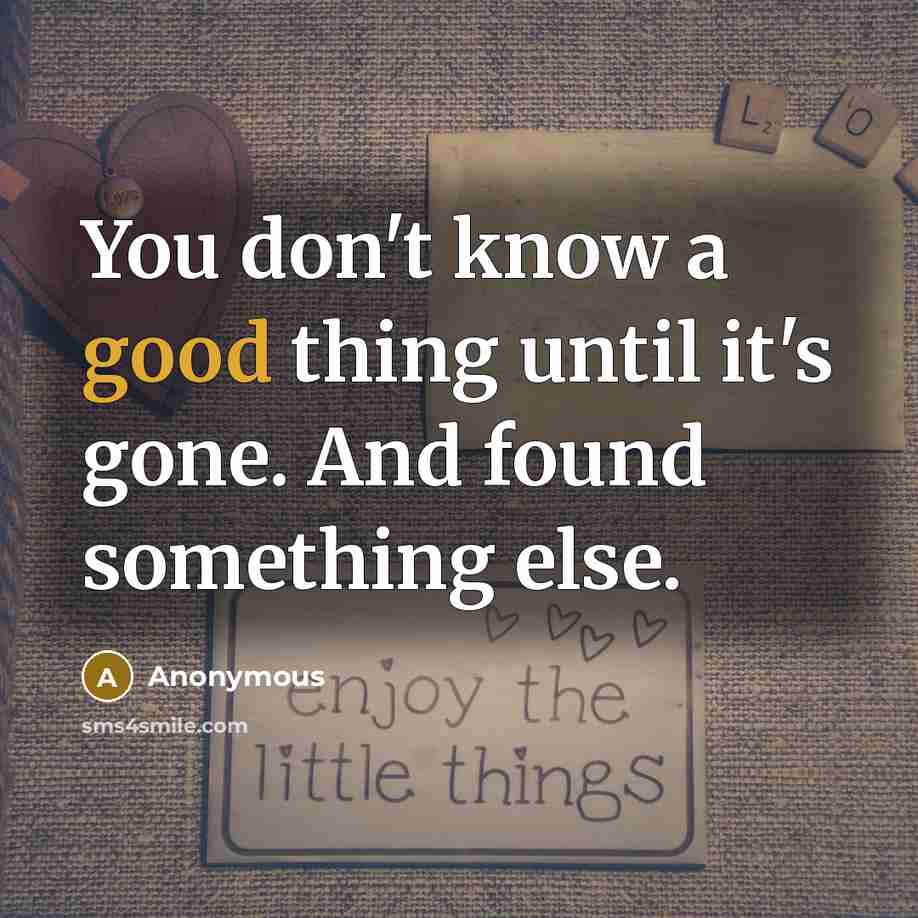 “You don't know a good thing until it's gone. And found something else.” quote by Anonymous