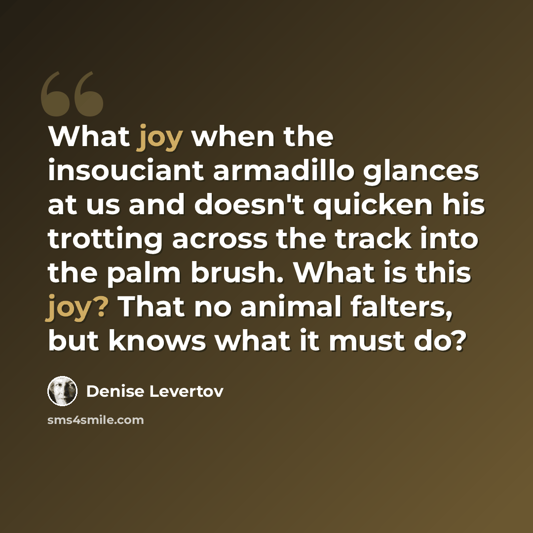 “What joy when the insouciant armadillo glances at us and doesn't quicken his trotting across the track into the palm brush. What is this joy? That no animal falters, but knows what it must do?” quote by Denise Levertov