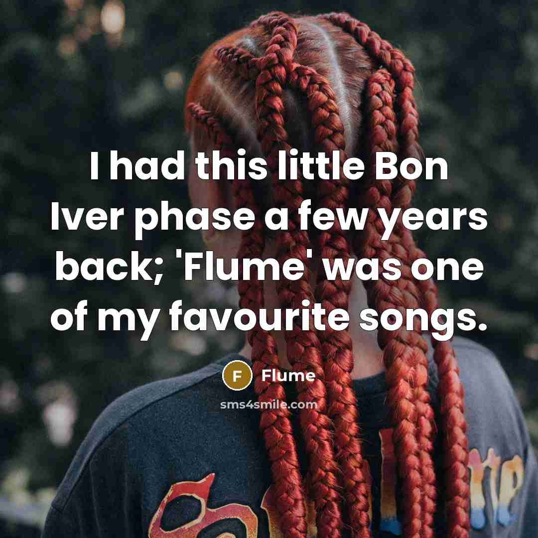 “I had this little Bon Iver phase a few years back; 'Flume' was one of my favourite songs.” quote by Flume