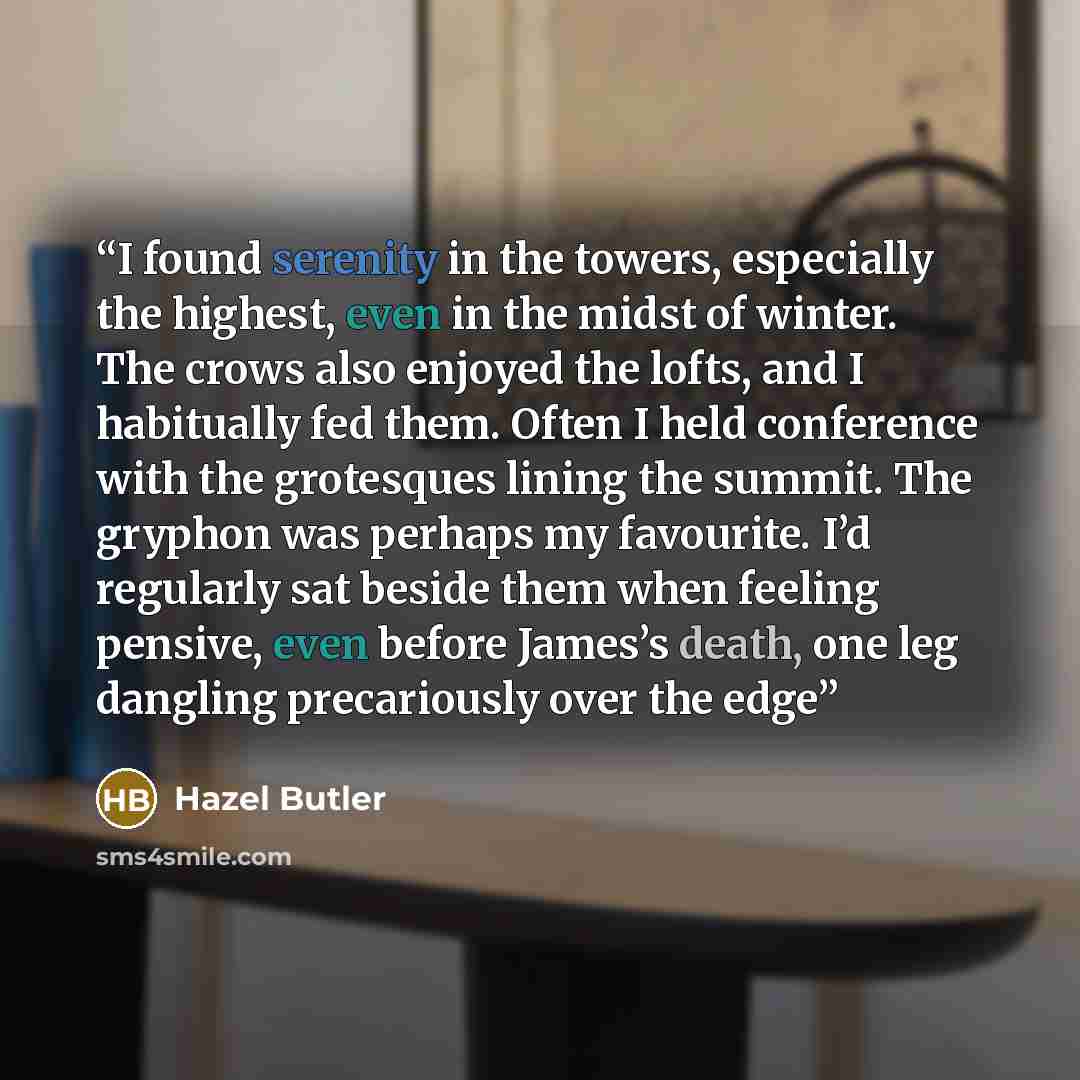 “I found serenity in the towers, especially the highest, even in the midst of winter. The crows also enjoyed the lofts, and I habitually fed them. Often I held conference with the grotesques lining the summit. The gryphon was perhaps my favourite. I’d regularly sat beside them when feeling pensive…” quote by Hazel Butler