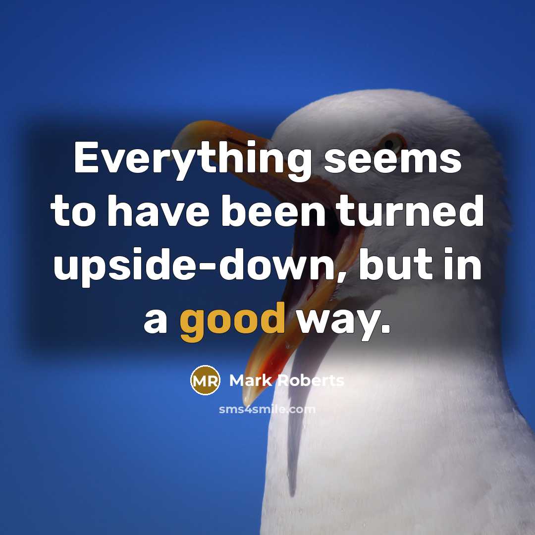 “Everything seems to have been turned upside-down, but in a good way.” quote by Mark Roberts