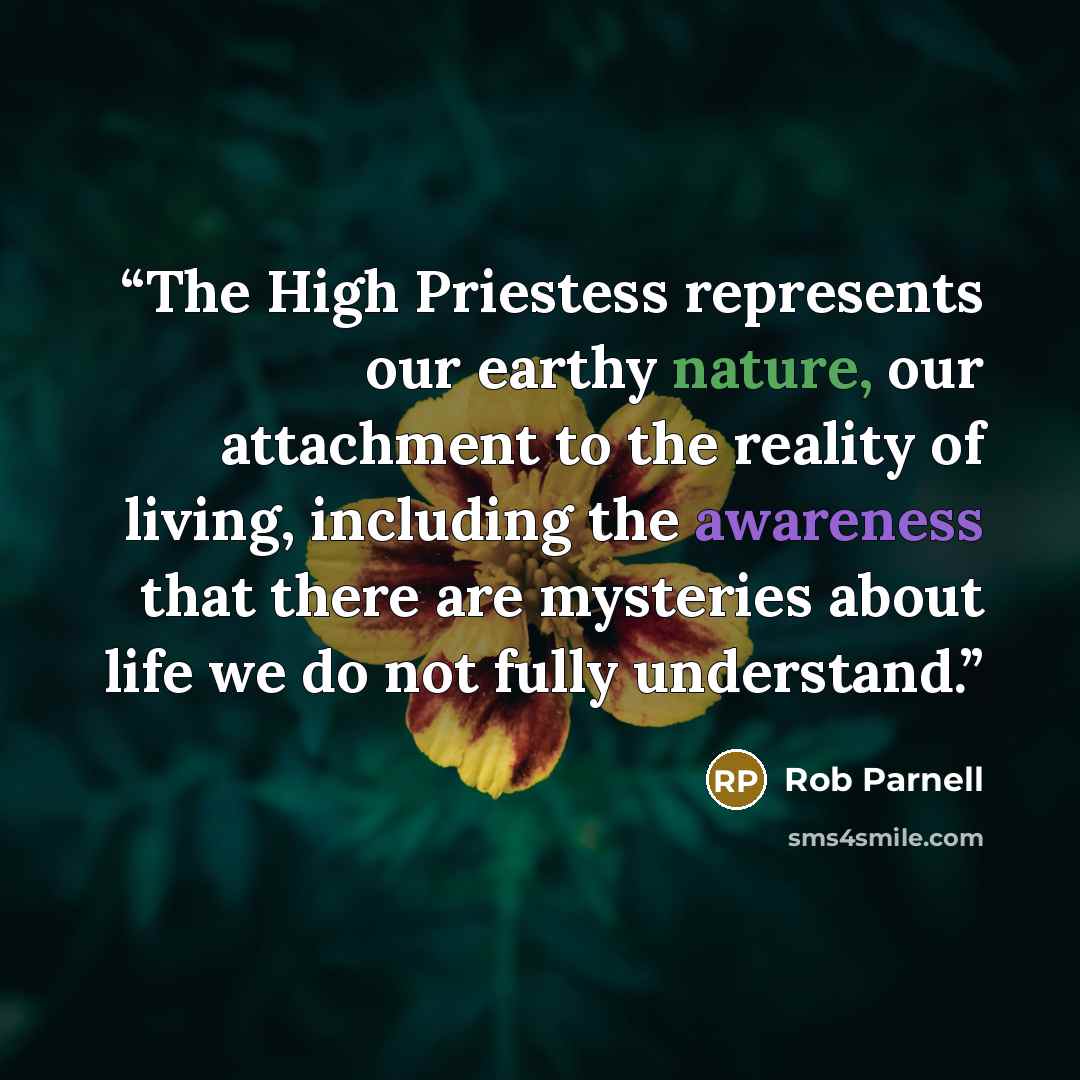 “The High Priestess represents our earthy nature, our attachment to the reality of living, including the awareness that there are mysteries about life we do not fully understand.” quote by Rob Parnell