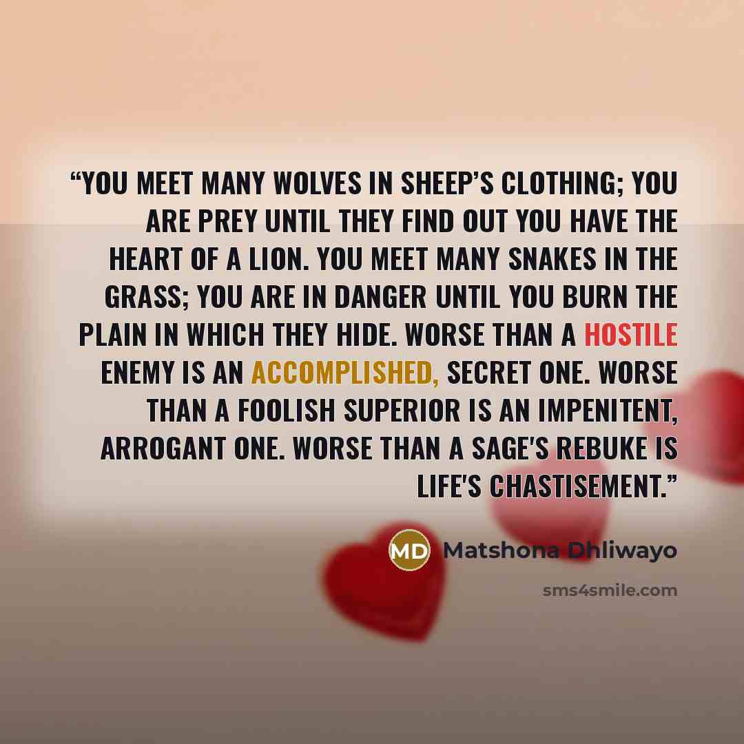 “You meet many wolves in sheep’s clothing; you are prey until they find out you have the heart of a lion. You meet many snakes in the grass; you are in danger until you burn the plain in which they hide. Worse than a hostile enemy is an accomplished, secret one. Worse than a foolish superior is an…” quote by Matshona Dhliwayo
