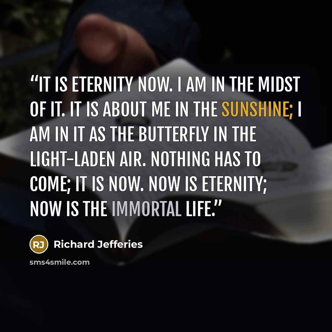 “It is eternity now. I am in the midst of it. It is about me in the sunshine; I am in it as the butterfly in the light-laden air. Nothing has to come; it is now. Now is eternity; now is the immortal life.” quote by Richard Jefferies