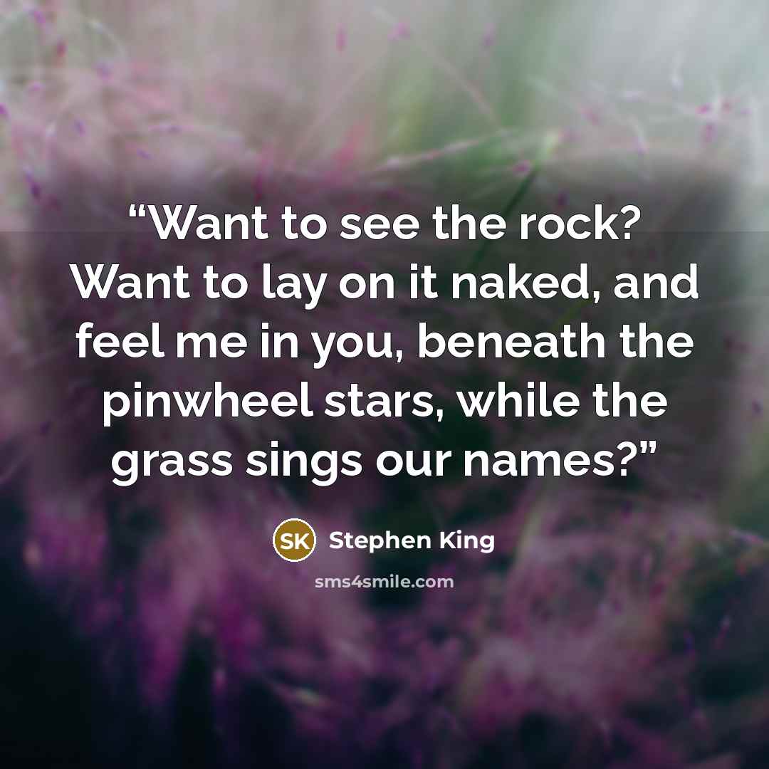 “Want to see the rock? Want to lay on it naked, and feel me in you, beneath the pinwheel stars, while the grass sings our names?” quote by Stephen King