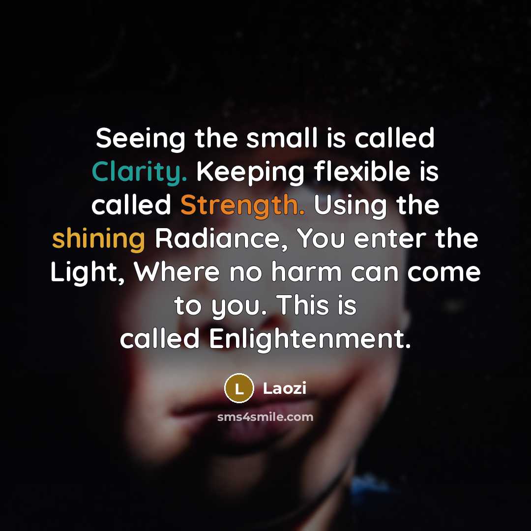 “Seeing the small is called Clarity. Keeping flexible is called Strength. Using the shining Radiance, You enter the Light, Where no harm can come to you. This is called Enlightenment.” quote by Laozi