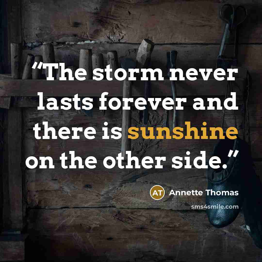 “The storm never lasts forever and there is sunshine on the other side.” quote by Annette Thomas