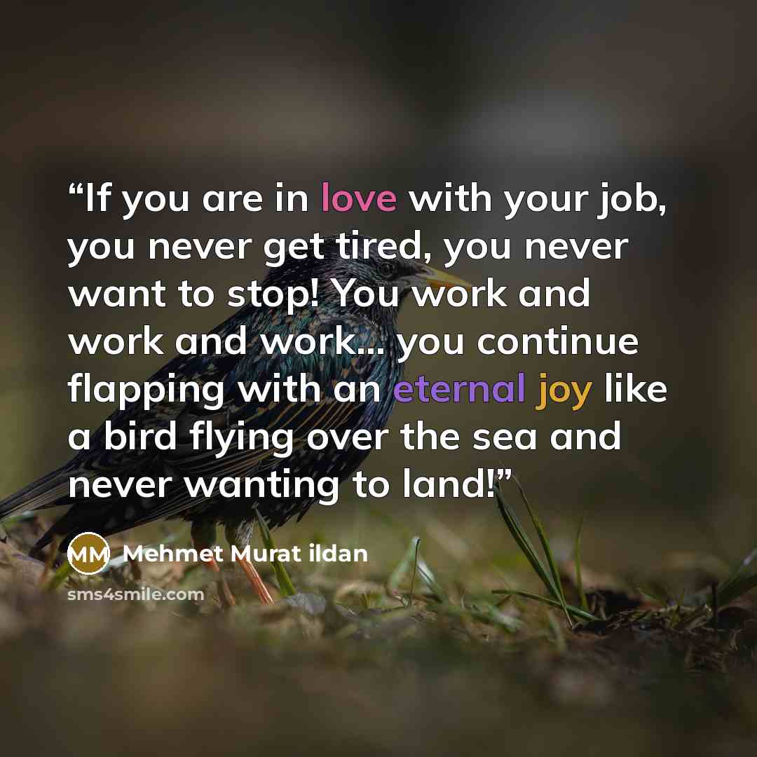 “If you are in love with your job, you never get tired, you never want to stop! You work and work and work… you continue flapping with an eternal joy like a bird flying over the sea and never wanting to land!” quote by Mehmet Murat ildan