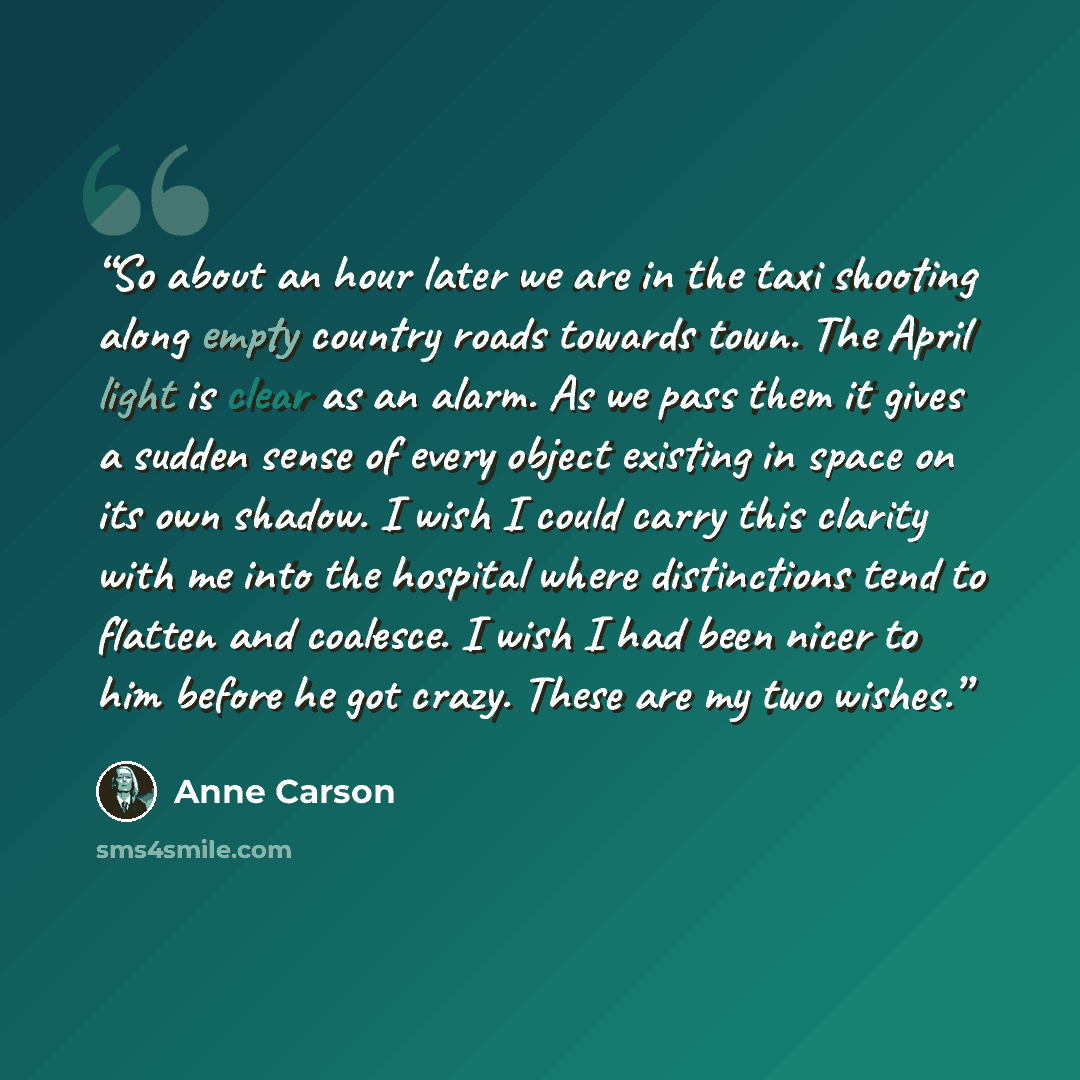 “So about an hour later we are in the taxi shooting along empty country roads towards town. The April light is clear as an alarm. As we pass them it gives a sudden sense of every object existing in space on its own shadow. I wish I could carry this clarity with me into the hospital where…” quote by Anne Carson